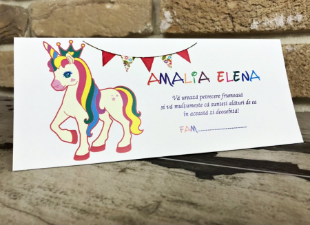 plic de bani - Unicorn Baby