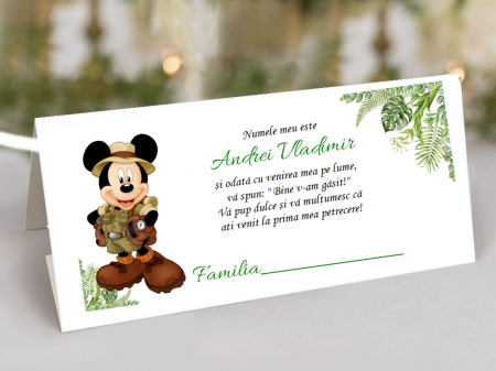 BOTEZ - Plic de bani Mickey Safari
