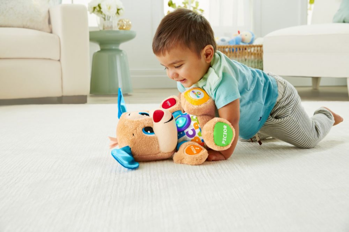 Catelusul Vorbitor si Educativ Limba Romana Fisher Price cu sunete interactive - IoArtify.ro [6]