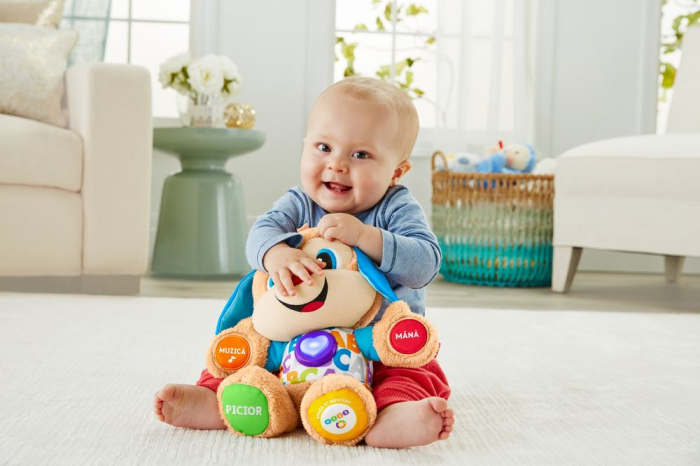 Catelusul Vorbitor si Educativ Limba Romana Fisher Price cu sunete interactive - IoArtify.ro [7]