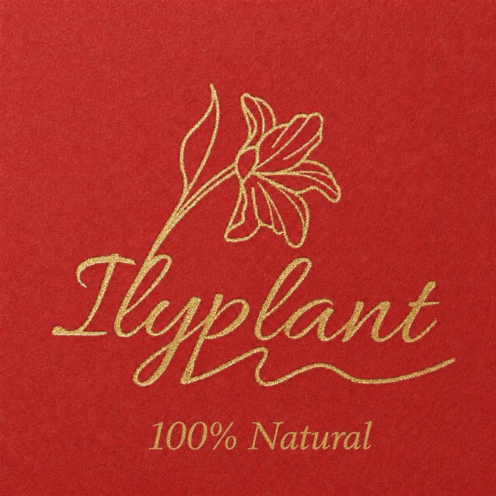Ceai de menta 100% natural IlyPlant, 10 plicuri/cutie [2]