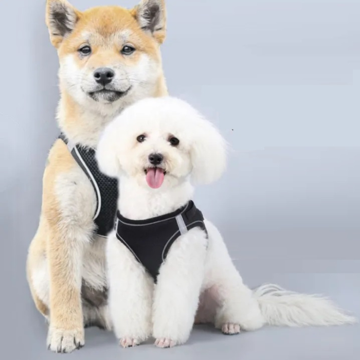 Ham pentru caini de talie mica cu elemente reflectorizante confortabil marime XXXS culoare Negru AniOne Germany – IoArtify.ro [1]