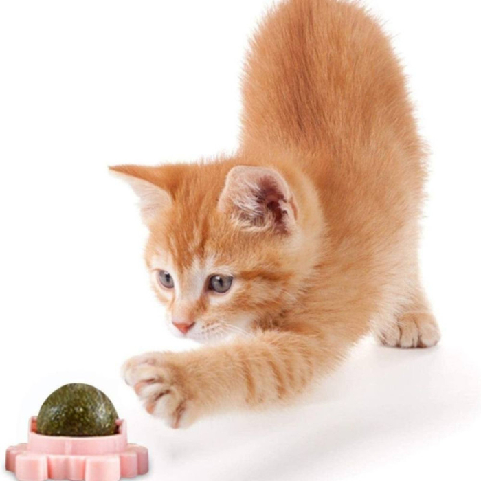 Jucarie interactiva pentru pisicute cu minge rotativa 360 grade din iarba Catnip pentru curatarea dintilor 5.5 cm Verde – IoArtify.ro [4]