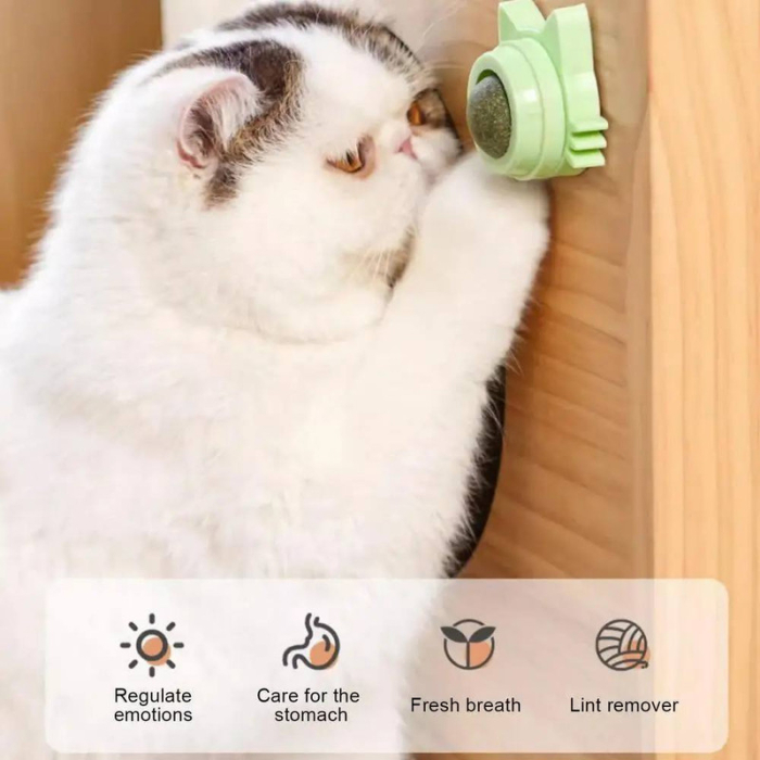 Jucarie interactiva pentru pisicute cu minge rotativa 360 grade din iarba Catnip pentru curatarea dintilor 5.5 cm Verde – IoArtify.ro [3]
