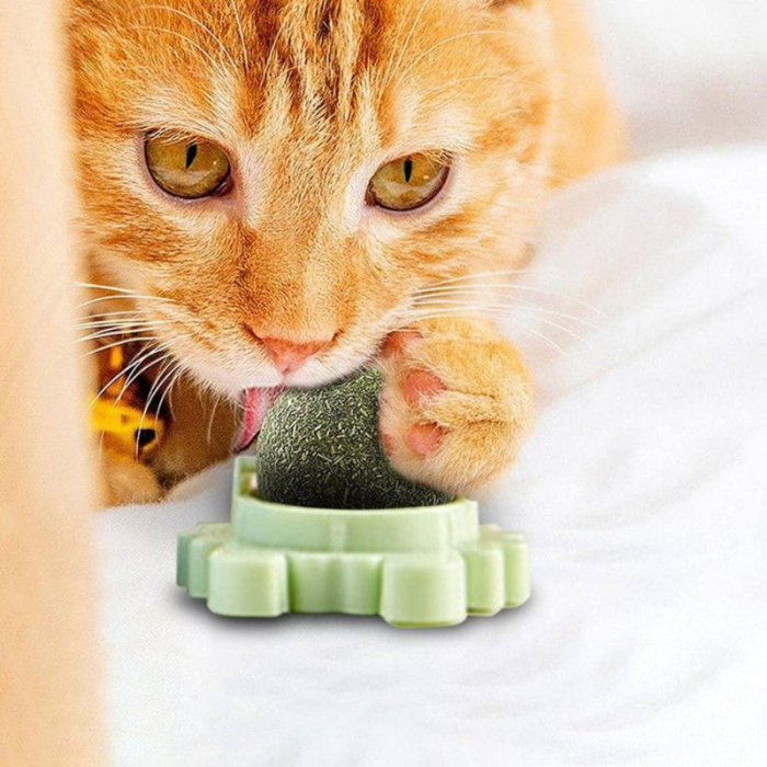 Jucarie interactiva pentru pisicute cu minge rotativa 360 grade din iarba Catnip pentru curatarea dintilor 5.5 cm Verde – IoArtify.ro [5]