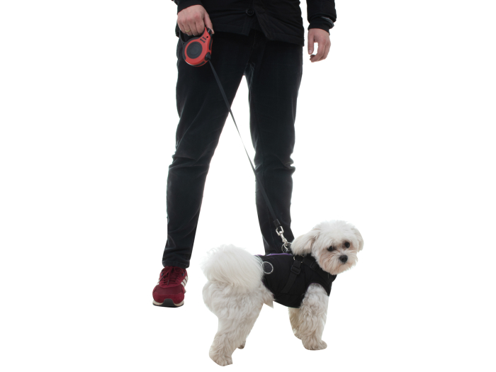 Lesa Retractabila Automata 5m lungime pentru caini de pana la 14 kg cu mecanism de blocare – IoArtify.ro [6]