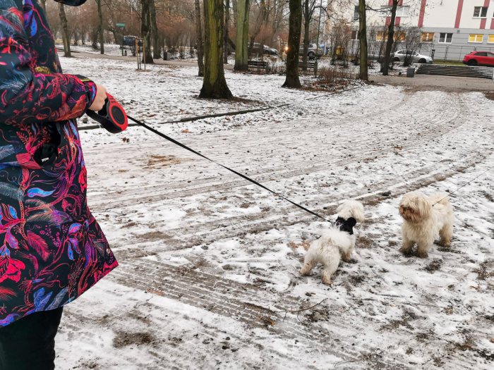 Lesa Retractabila Automata 5m lungime pentru caini de pana la 14 kg cu mecanism de blocare – IoArtify.ro [8]