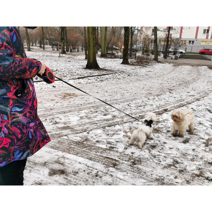 Lesa Retractabilă Automată 5m pentru Caini până la 14kg – Siguranță, Control și Durabilitate [7]