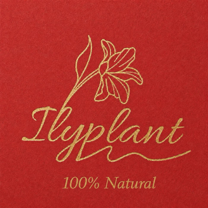 Oferta 5 cutii Ceai de menta 100% natural IlyPlant, 50 plicuri [3]