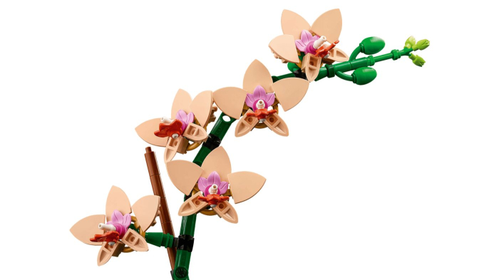 Lego Botanicals Mini Orhidee 10343 set 237 piese - IoArtify.ro [6]