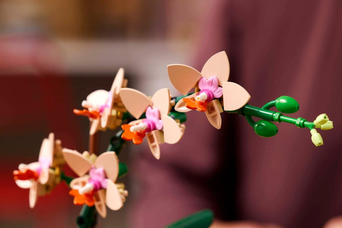 Lego Botanicals Mini Orhidee 10343 set 237 piese - IoArtify.ro [9]
