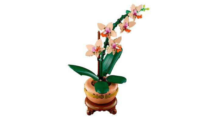 Lego Botanicals Mini Orhidee 10343 set 237 piese - IoArtify.ro [7]