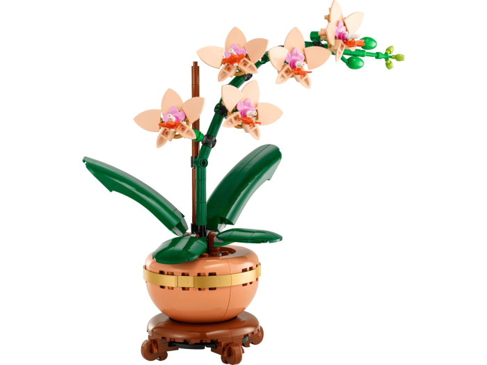 Lego Botanicals Mini Orhidee 10343 set 237 piese - IoArtify.ro [3]