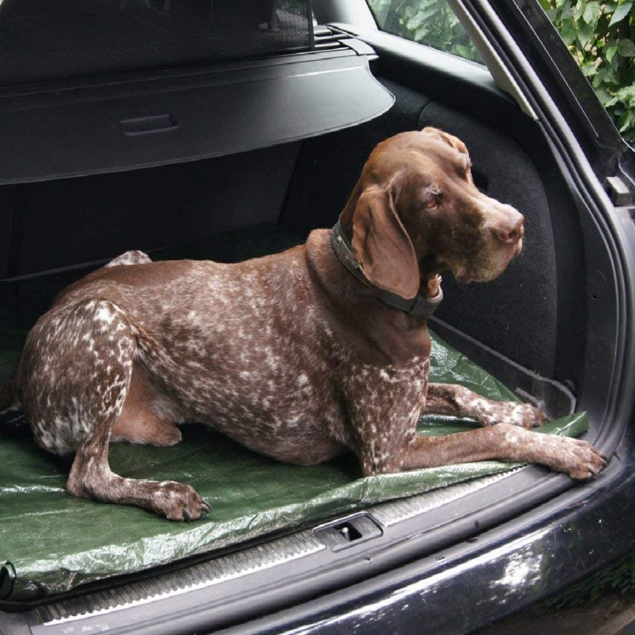 Prelata Impermeabila cu ochiuri metalice de prindere dimensiune 6,0m x 8,0m densitate 120g/m2 culoare verde – IoArtify.ro [4]