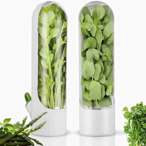 Recipient pentru Depozitarea si Mentionerea Proaspata a Ierburilor Aromate in Frigider Alb 25 x 6.5 cm BPA Free – IoArtify.ro [3]