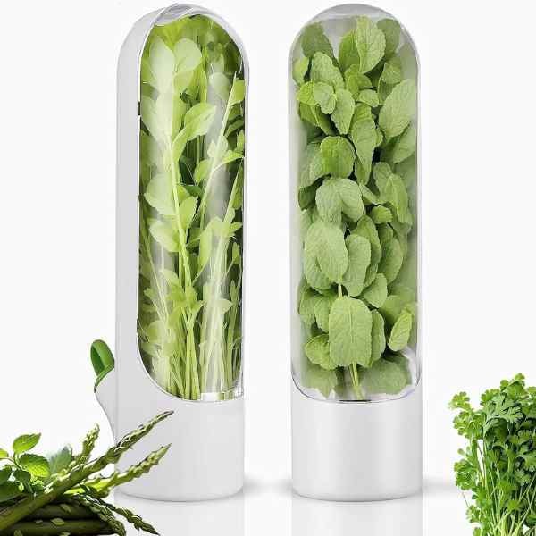 Recipient pentru Depozitarea si Mentionerea Proaspata a Ierburilor Aromate in Frigider Alb 25 x 6.5 cm BPA Free - IoArtify.ro [3]