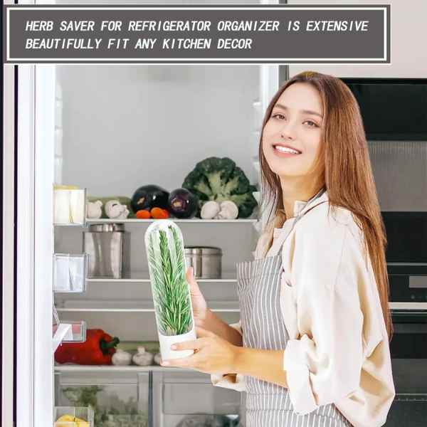 Recipient pentru Depozitarea si Mentionerea Proaspata a Ierburilor Aromate in Frigider Alb 25 x 6.5 cm BPA Free – IoArtify.ro [9]