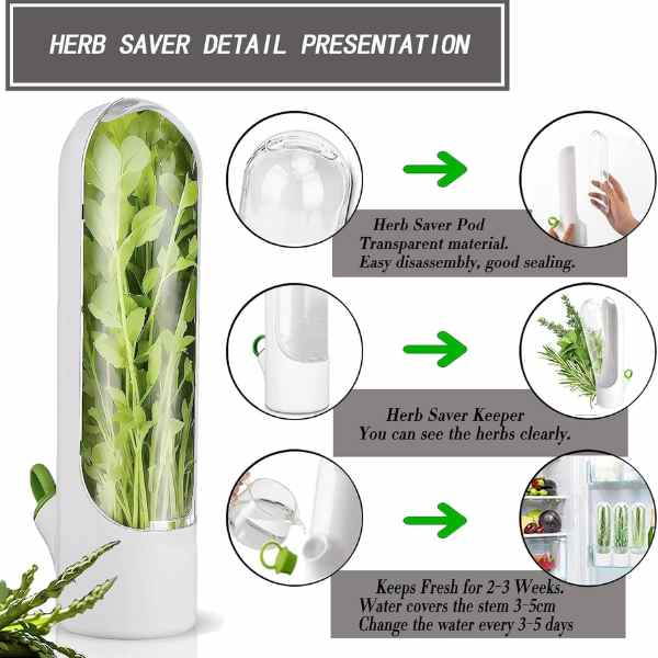 Recipient pentru Depozitarea si Mentionerea Proaspata a Ierburilor Aromate in Frigider Alb 25 x 6.5 cm BPA Free – IoArtify.ro [7]