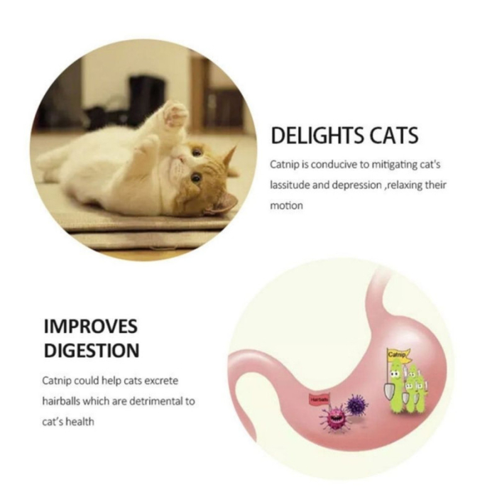 Set 3 Jucarii pentru Pisicute Model Pinguin Minge Rotativa 360 Grade din Iarba Catnip 6 cm Albastru – IoArtify.ro [6]