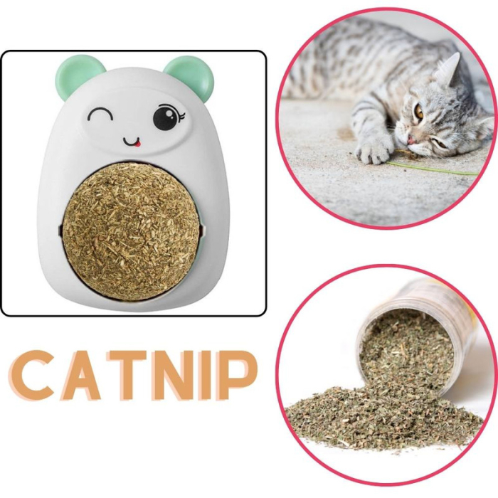 Set 3 Jucării pentru Pisicuțe - Ursuleț și Minge Rotativă cu Iarbă Catnip, Verde, 6cm [7]