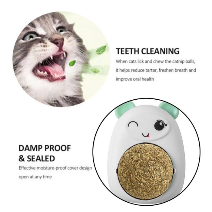 Set 3 Jucării pentru Pisicuțe - Ursuleț și Minge Rotativă cu Iarbă Catnip, Verde, 6cm [5]
