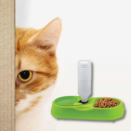 Bol dublu pentru hrana și apă pentru animale de companie, 34x18x7 cm, Verde – Confort și igienă pentru animalul tău! [2]