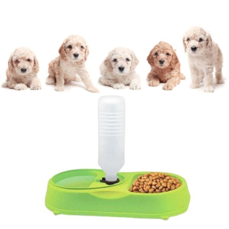 Bol dublu pentru hrana și apă pentru animale de companie, 34x18x7 cm, Verde – Confort și igienă pentru animalul tău! [1]