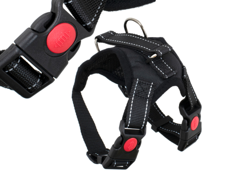 Ham pentru caini reflectorizant confortabil marime S cu curele ajustabile – IoArtify.ro [2]