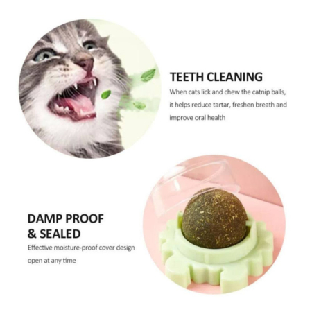 Jucarie interactiva pentru pisicute cu minge rotativa 360 grade din iarba Catnip pentru curatarea dintilor 5.5 cm Verde – IoArtify.ro [7]