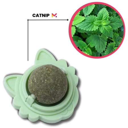 Jucării pentru Animale - Jucarie interactiva pentru pisicute cu minge rotativa 360 grade din iarba Catnip pentru curatarea dintilor 5.5 cm Verde – IoArtify.ro