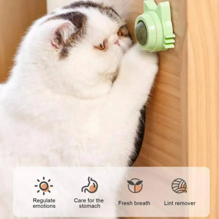 Jucarie interactiva pentru pisicute cu minge rotativa 360 grade din iarba Catnip pentru curatarea dintilor 5.5 cm Verde – IoArtify.ro [2]