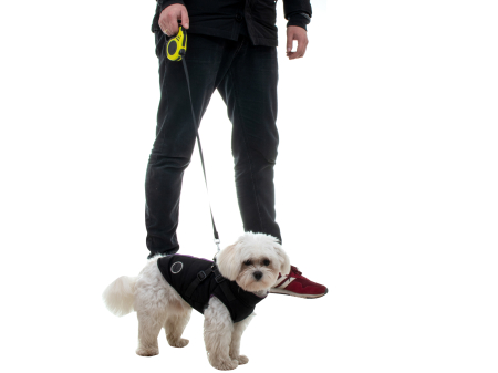 Lesa Retractabila Automata 3m lungime pentru caini de pana la 8kg cu sistem de frânare – IoArtify.ro [5]