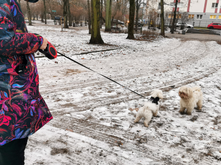 Lesa Retractabila Automata 5m lungime pentru caini de pana la 14 kg cu mecanism de blocare – IoArtify.ro [7]