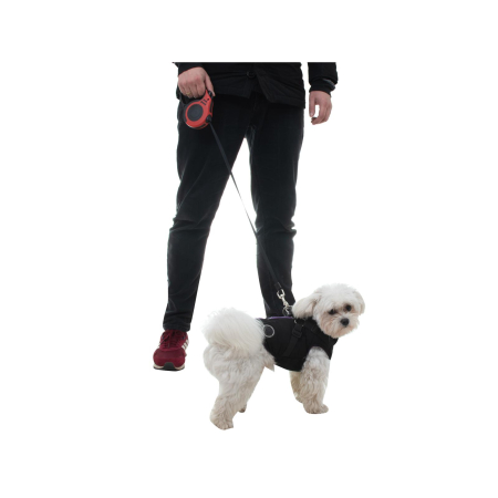 Lesa Retractabilă Automată 5m pentru Caini până la 14kg – Siguranță, Control și Durabilitate [4]