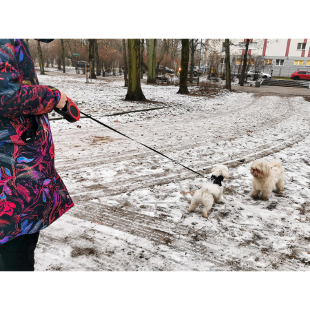 Lesa Retractabilă Automată 5m pentru Caini până la 14kg – Siguranță, Control și Durabilitate [6]