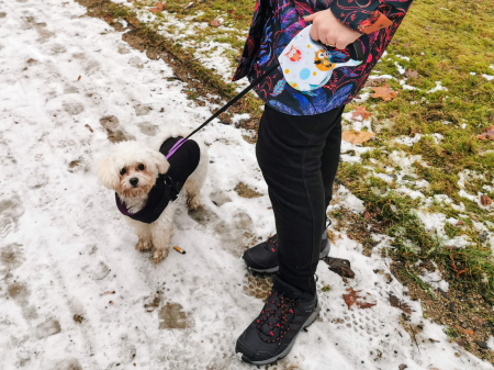 Lesa Retractabila Automata 5m lungime pentru caini de pana la 8kg cu sistem de blocare – IoArtify.ro [6]