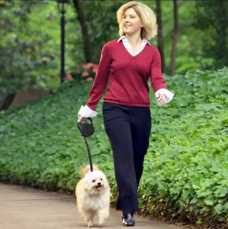 Lesa Retractabila Automata cu carabina pentru caini lungime sfoara 5m culoare Neagra – IoArtify.ro [5]