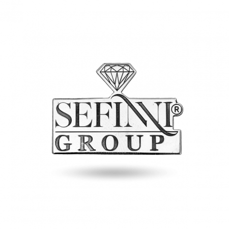 Bijuterii Argint Personalizate - Pin Personalizat din Argint 925 cu Sigla Firmei – Eleganță, Personalizare și Calitate pentru Evenimente Corporate