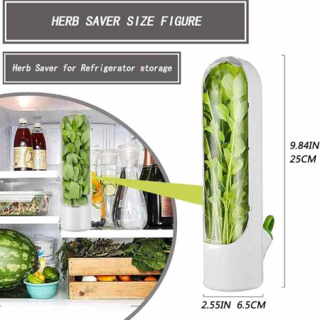 Recipient pentru Ierburile Aromate – Prospetime de până la 3 săptămâni în frigider, BPA Free, design compact și sigur [3]