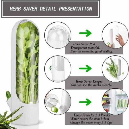 Recipient pentru Depozitarea si Mentionerea Proaspata a Ierburilor Aromate in Frigider Alb 25 x 6.5 cm BPA Free – IoArtify.ro [6]