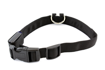 Zgarda iluminata cu LED pentru caine sau pisica culoare Albastra AVX-AG232A cu lumina LED reglabila – IoArtify.ro [1]