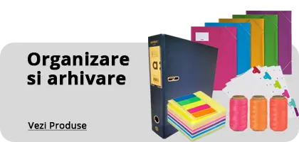 Organizare si Arhivare