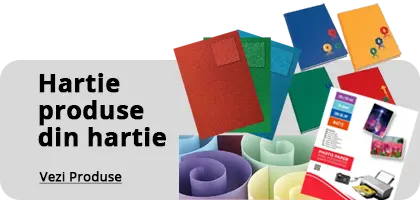 Hartie si produse din hartie