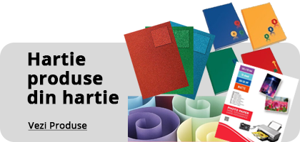 Hartie si produse din hartie