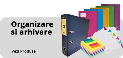 Organizare si Arhivare