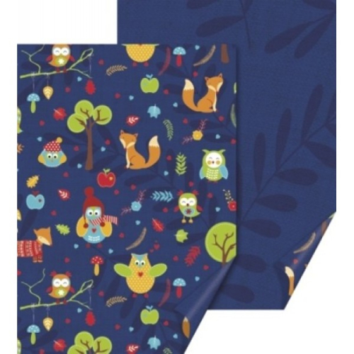 Cartoane/ Hartii Decor 50x70, 70x100, A4