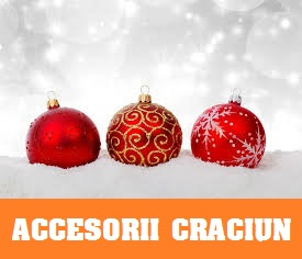 Materiale de Craciun si An Nou