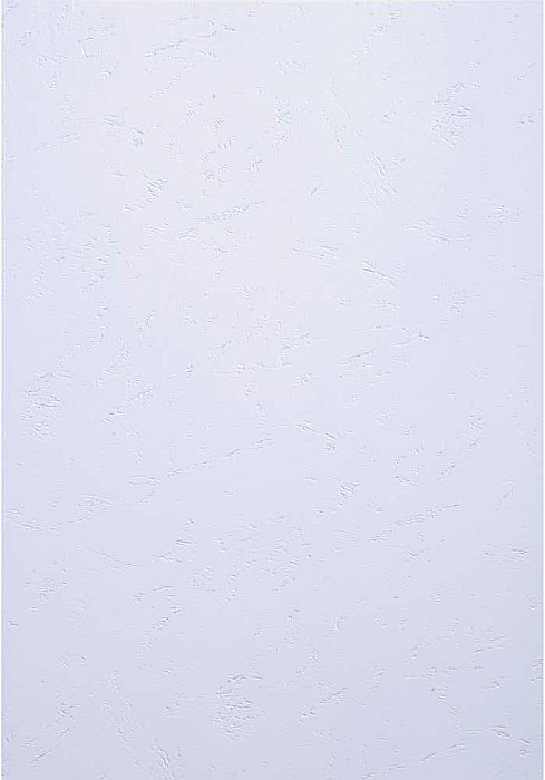 EX COPERTA CARTON IMITATIE PIELE A4 ALB 25/SET 27800E/27809E [1]