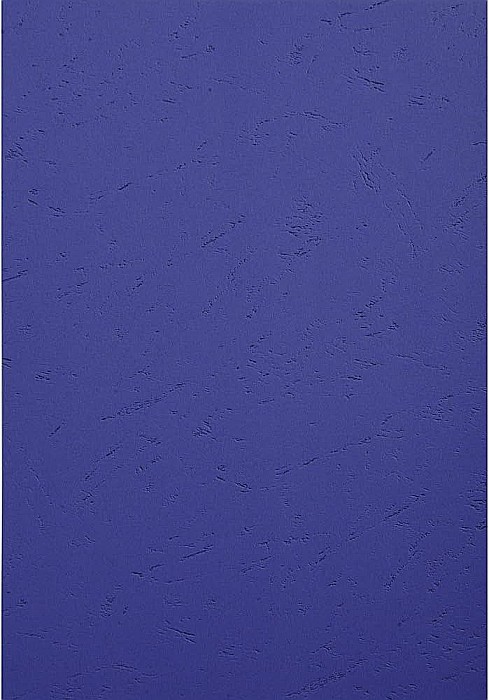 EX COPERTA CARTON IMITATIE PIELE A4 ALBASTRU 25/SET 27802E/27809E [1]