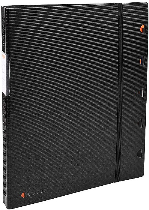 EX MAPA PREZENTARE 40 FOLII 5 SEPARATOARE EXAVIEW 85434E [3]